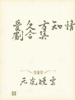 爱久方知情深短剧合集