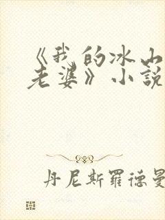《我的冰山总裁老婆》小说