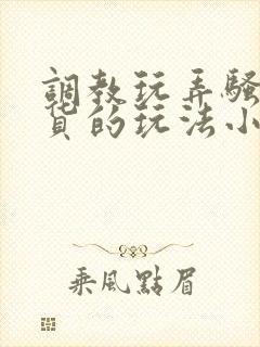 调教玩弄骚货贱货的玩法小说