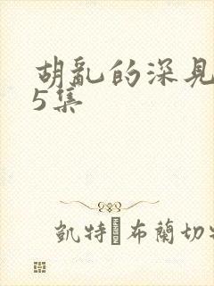 胡乱的深见君第5集