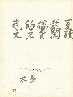 我的总裁夏蓉全文免费阅读封面