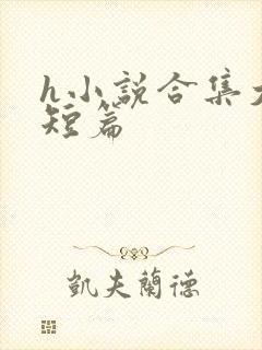 h小说合集大全短篇封面