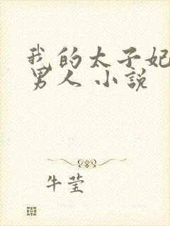 我的太子妃是个男人 小说