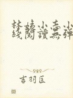 林姨小志小说在线阅读无弹窗