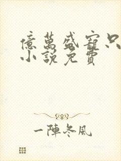 亿万盛宠只为你小说免费封面