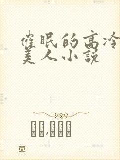 催眠的高冷双性美人小说