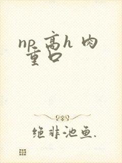 np 高h 肉 重口