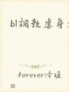 bl调教虐身文