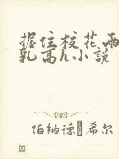 握住校花两团雪乳高h小说