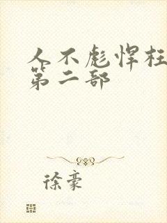 人不彪悍枉少年第二部封面