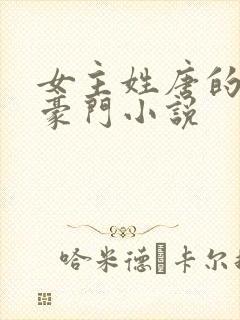 女主姓唐的现代豪门小说封面