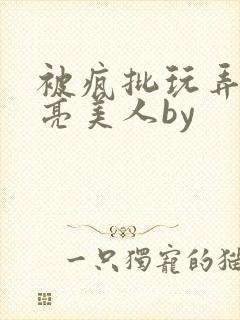 被疯批玩弄的漂亮美人by封面