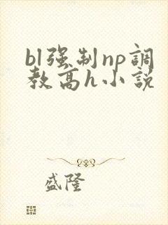 bl强制np调教高h小说