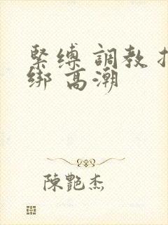 紧缚 调教 捆绑 高潮封面