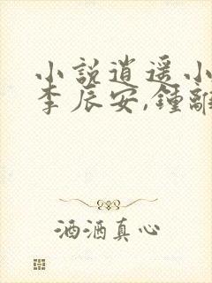 小说逍遥小贵婿李辰安,钟离若水