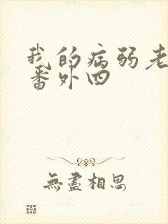 我的病弱老婆 番外四封面