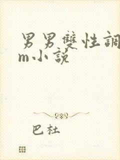 男男双性调教sm小说封面