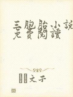 三胞胎小说全文免费阅读