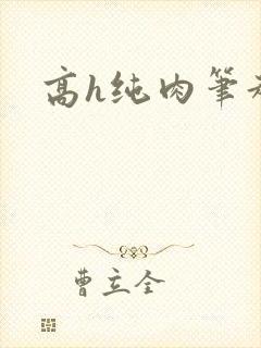 高h纯肉笔趣阁