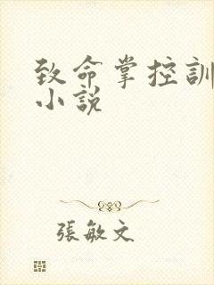 致命掌控训诫文小说封面