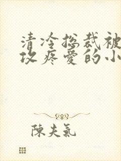 清冷总裁被丑老攻疼爱的小说