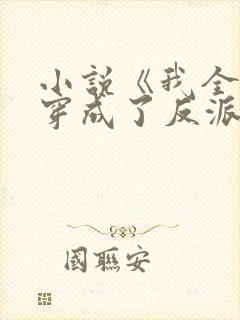 小说《我全家都穿成了反派》