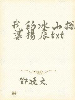 我的冰山总裁老婆杨辰txt封面