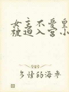 女主不爱皇帝却被迫入宫小说