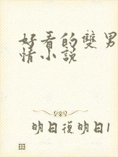 好看的双男主言情小说封面