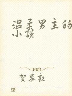 温柔男主的古言小说