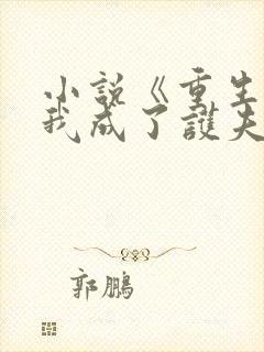 小说《重生后,我成了护夫狂魔》