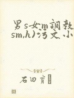 男s女m调教(sm,h)污文小说