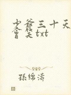 少爷三十天之后会笑txt