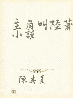 主角叫陆萧云的小说封面