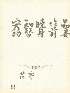 安知晓作品总裁的替身前妻