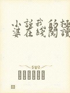 小说我的极品老婆在线阅读全文