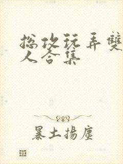 总攻玩弄双性美人合集封面