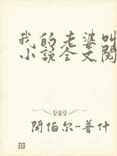 我的老婆叫武艳小说全文阅读