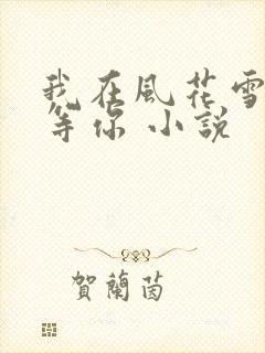 我在风花雪月里等你 小说