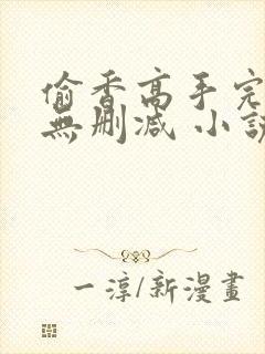 偷香高手完整版无删减 小说