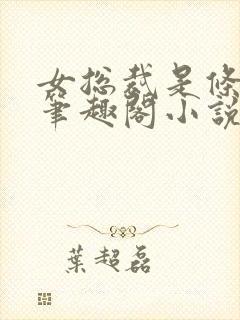 女总裁是条骚狗笔趣阁小说