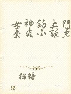 女神的上门赘婿秦爽小说免费阅读