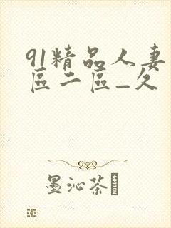 91精品人妻一区二区_久