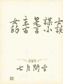 女主是谋士军师的古言小说