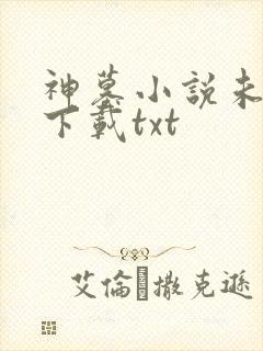 神墓小说未删版下载txt