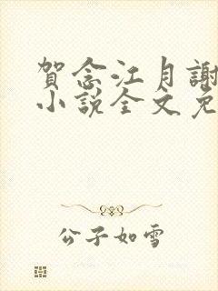 贺念江月谢泊年小说全文免费阅读笔趣阁