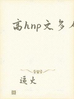 高hnp文多人