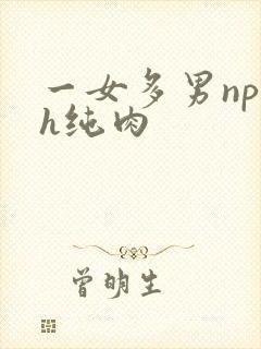 一女多男np高h纯肉