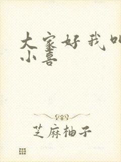 大家好 我叫林小喜