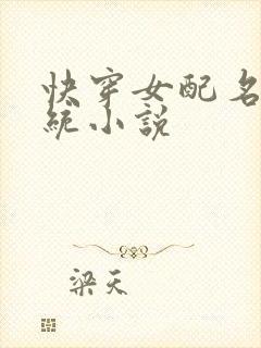 快穿女配名器系统小说